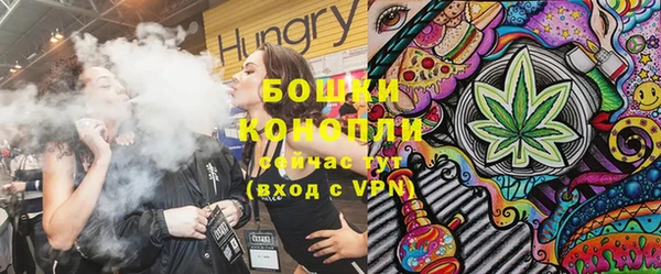 шишки Балахна