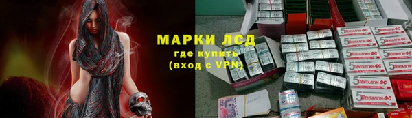 шишки Балахна