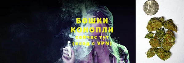 шишки Балахна