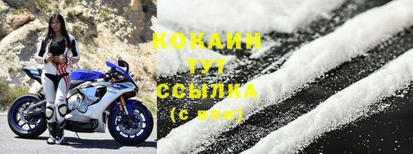 шишки Балахна